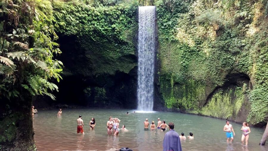 BALI PRIVATE : Waterfalls and Water Temple Tour Rice Terrace