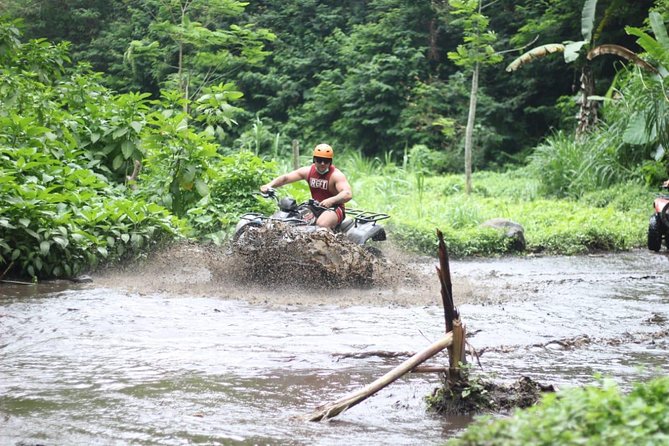 Bali Quad Bike ATV With Flying Fox
