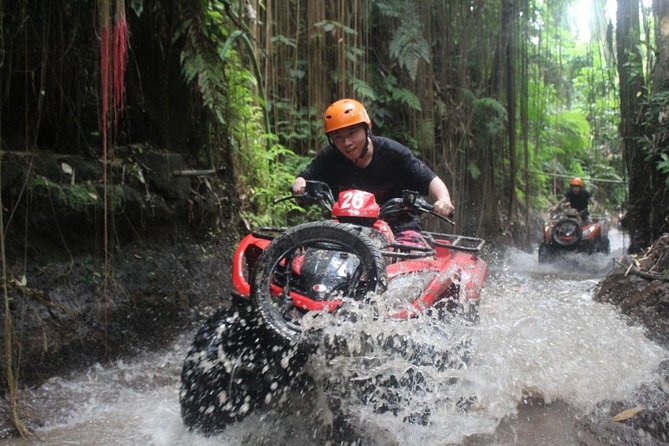 Bali Quad Bike With Ubud Tour