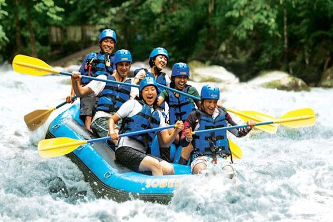 Bali Rafting and Private Combination Ubud Tour Packages