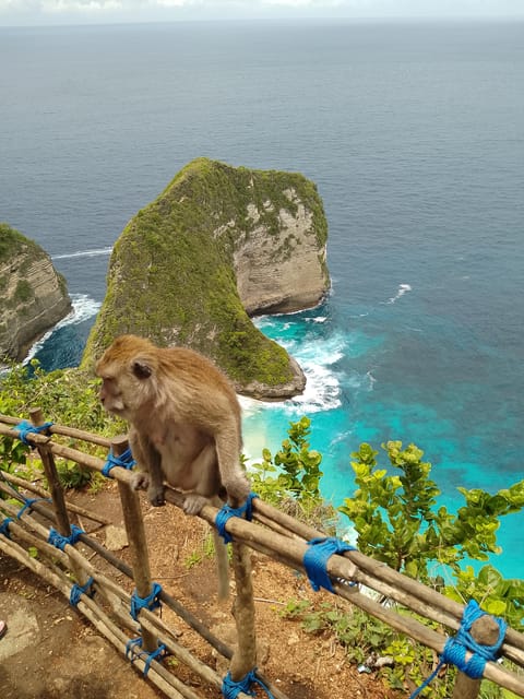 Bali to Nusa Penida Fastboat Tickets