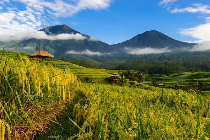 Bali Tour: Lake, Iconic Gate, Temple, Hot Spring and Rice Terrace