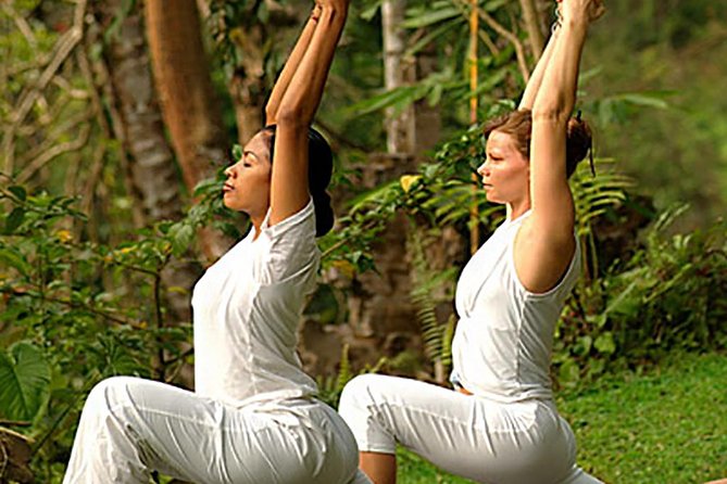 Bali Ubud Yoga Class - Overview of the Yoga Class