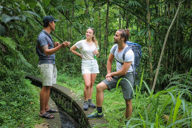 Bali Village Trek