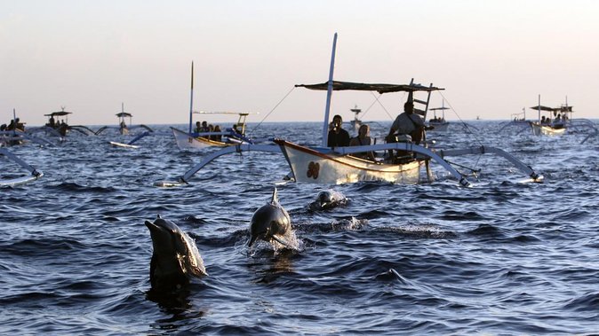 Bali Watching Dolphin at Lovina Beach