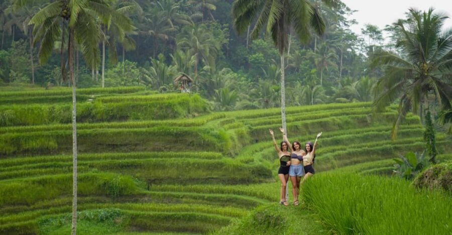 Bali : Waterfalls, Rice Terrace & Swing Private Photographer - Tour Overview and Details