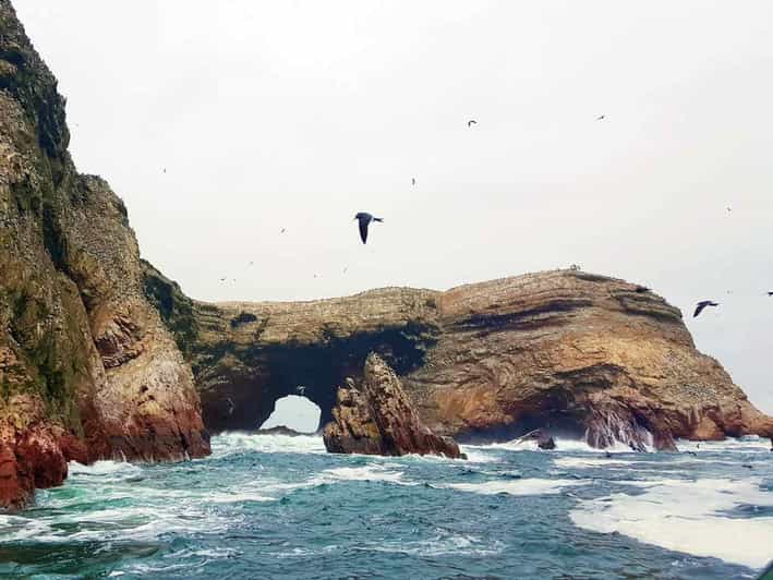 Ballestas Islands and Paracas National Reserve (6 Hrs)