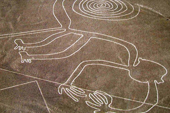 Ballestas, Paracas, Nazca Lines & Huacachina - 2 Days Experience - Ballestas Islands & Paracas National Reserve