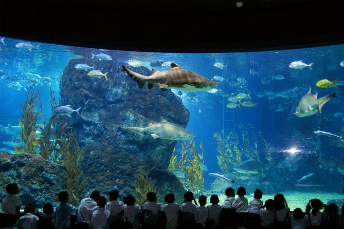 Bangkok Sea Life Aquarium and Madame Tussauds