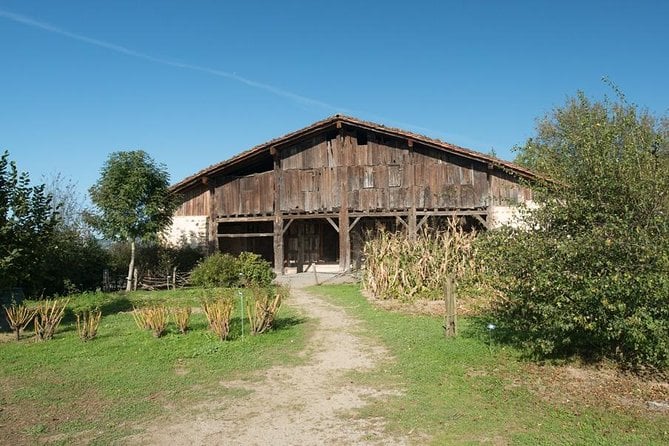 Basque Farm House & Cider House Tour + Meal From San Sebastian