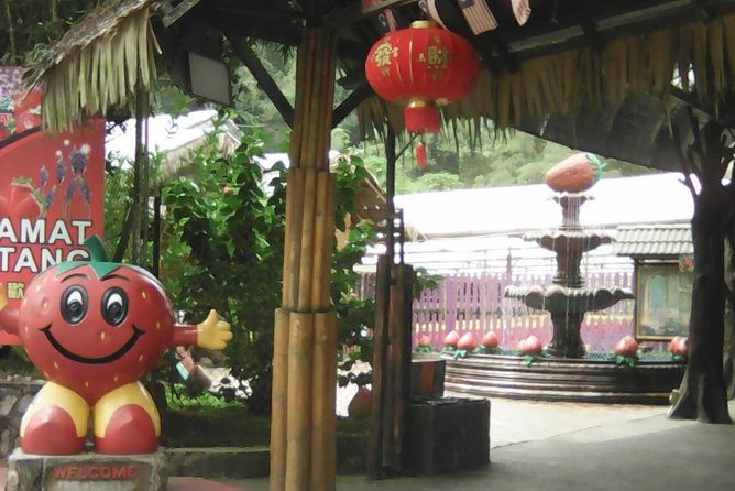 Batu Caves and Genting Highland Tour