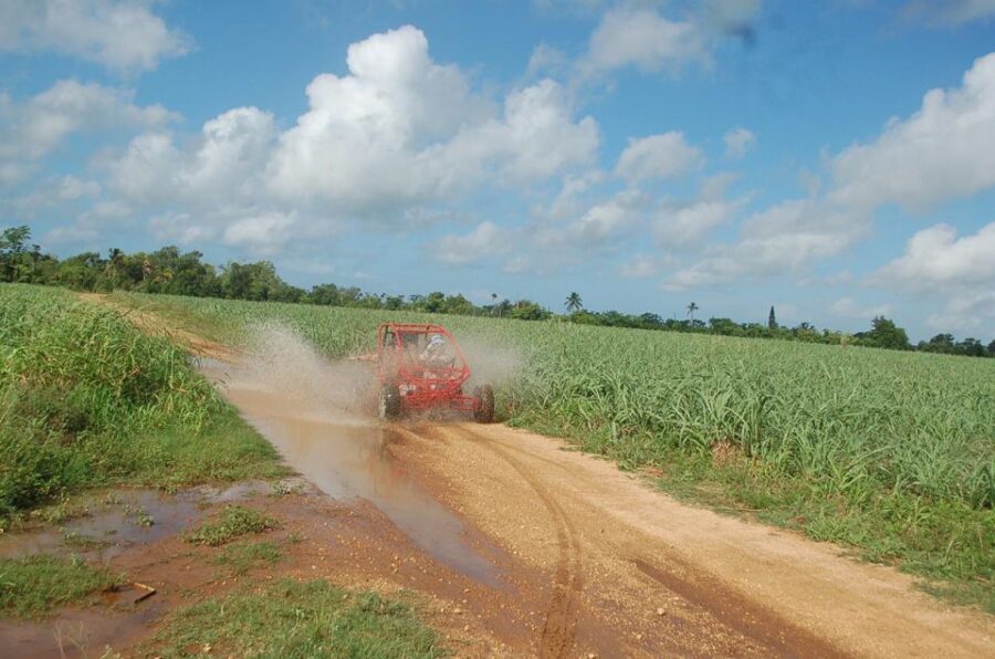 Bayahibe: Buggy Tour Amazing Half-Day - Tour Overview
