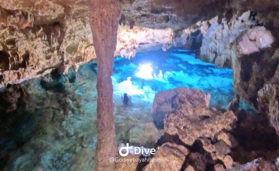 2 Best Scuba Diving Experiences In Bayahibe