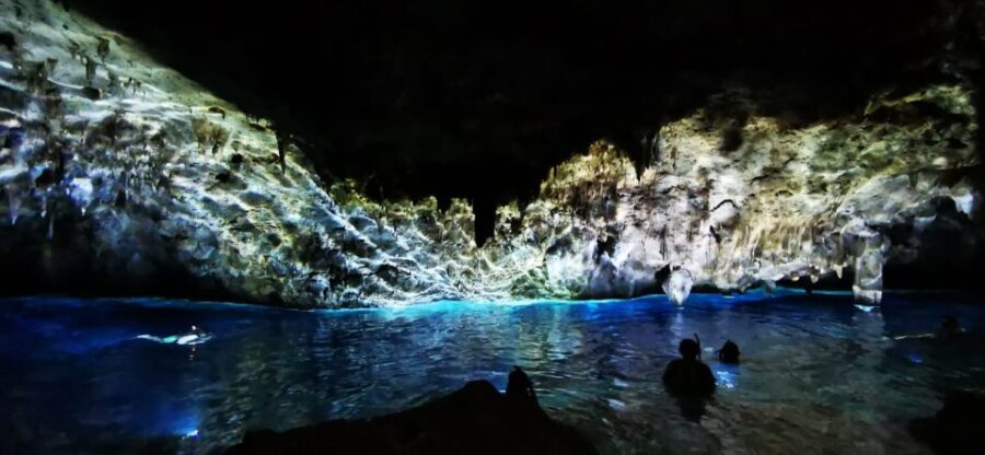 Bayahibe: National Park Jungle Walk & Snorkeling in Cenotes