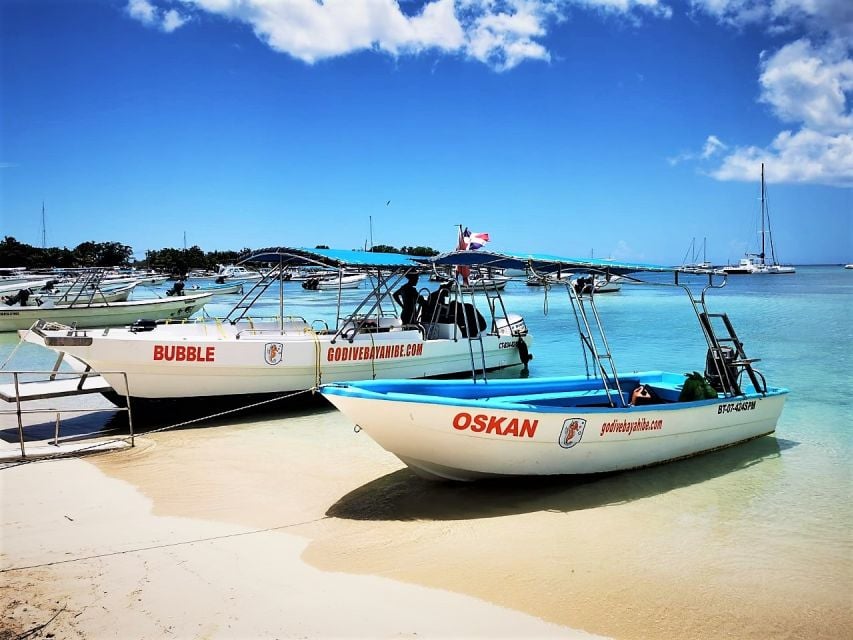 3 Best Scuba Diving Experiences In Los Melones