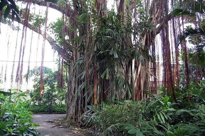 Beach Excursion in Tortola and Sightseeing in Fahie Hills