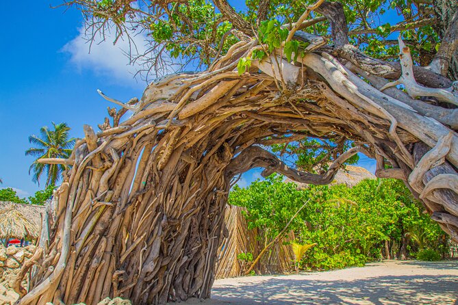Beach Front Disconnection (Yoga, Meditation & Massage Included.)
