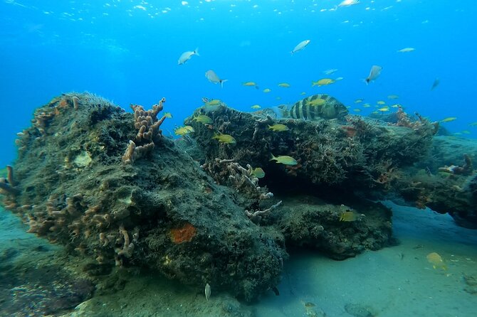 Beach Snorkeling Adventure in Lauderdale by the Sea