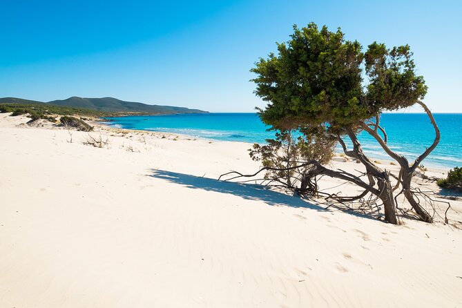 Beach Tour Porto Pino and Piscinni