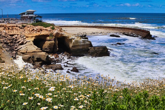 Beaches & Bluffs San Diegos Ultimate Coastal Driving Tour