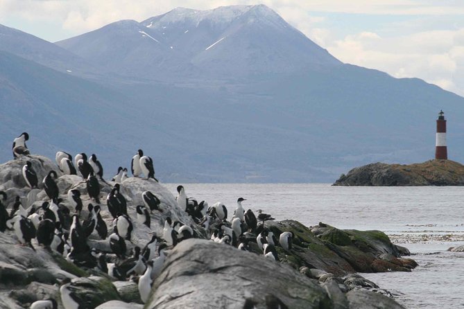 Beagle Channel and Seal Island Catamaran Tour From Ushuaia