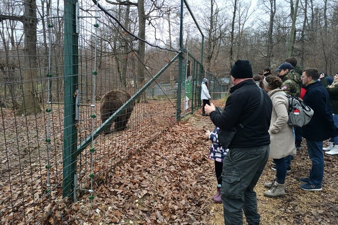 Bear Sanctuary and Bran Castle From Brasov