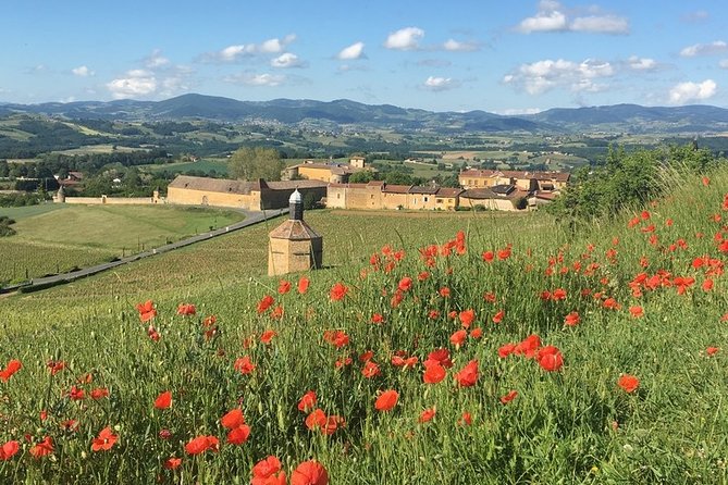 4 Best Full-Day Tours In Lyon
