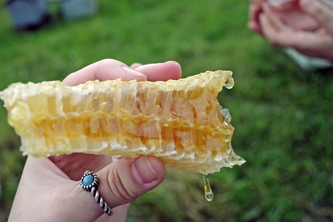 Beekeeping Day Trip| Private Guided Tour From Bucharest