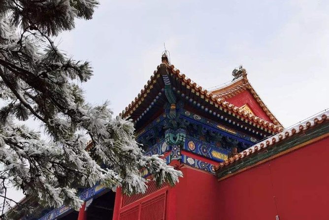 Beijing Layover Tour: Forbidden City, Temple of Heaven and Summer Palace