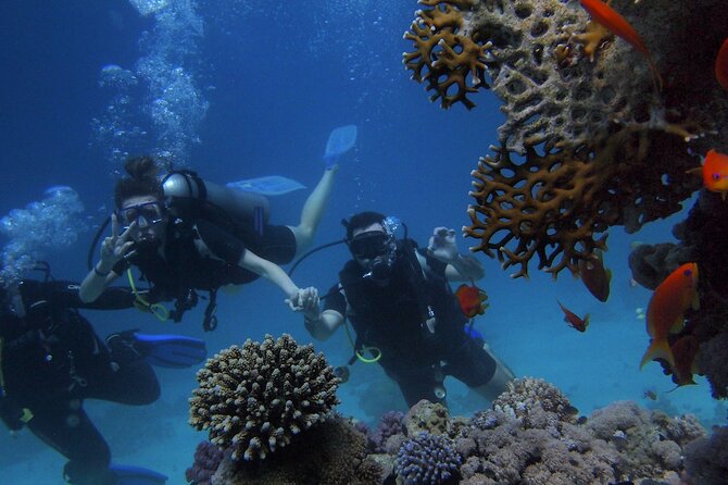 Belek Scuba Diving Experience (2 Dives) With Lunch