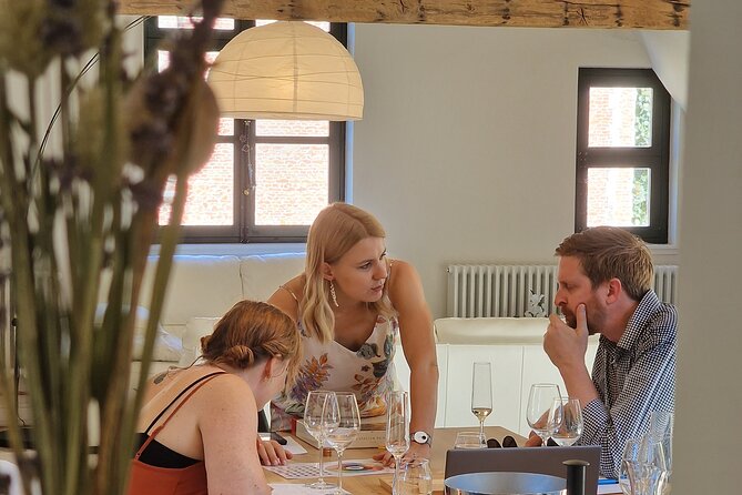 Belgian Wines Tasting in a UNESCO Heritage Home in Ghent