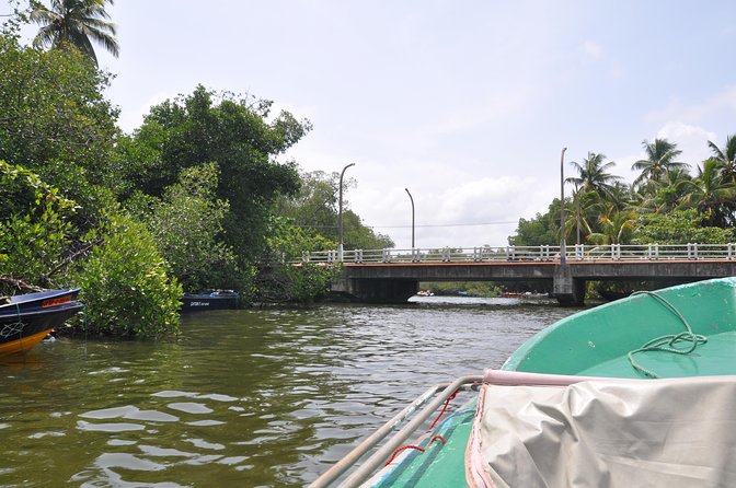 Bentota City Tour - Tour Overview