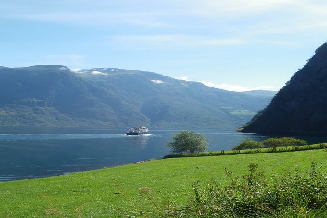 Bergen Private City Meets Fjord Group Tour