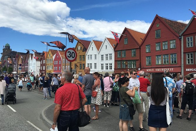Bergen Private Walking Tour With A Professional Guide - Customization and Experience