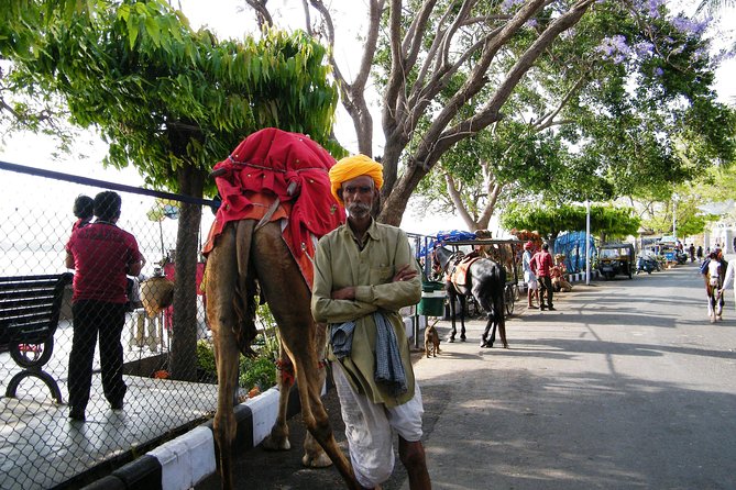 Best Golden Triangle With Royal Rajasthan Private Tour