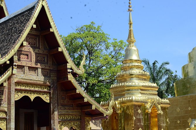 Best of Chiangmai Day Trip Temples and Sticky Waterfall