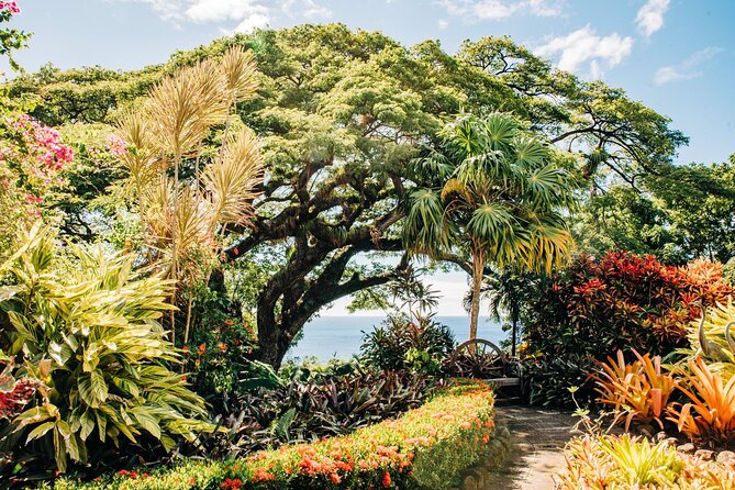 Best of St. Kitts Private Half Day Tour