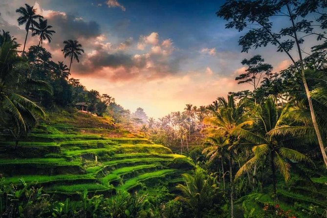 Best of Ubud: Nature, Culture and Temples Tour