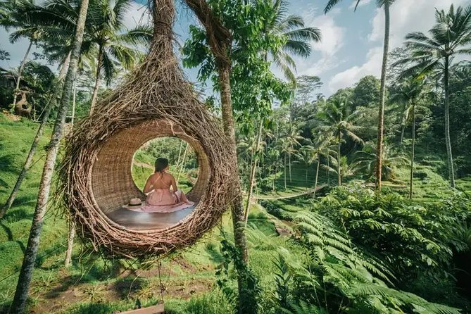 Best of Ubud: Private All-Inclusive Tour With Jungle Swing