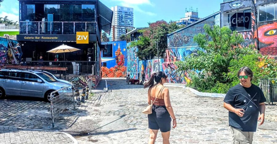 Best São Paulo City Tour Fun 6Hours Experience