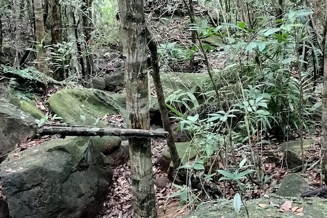 Best Trekking Tour In Phu Quoc - Inclusions and Pricing