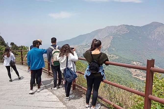 Bhadraj Forest Trek