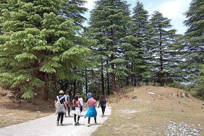 Bhadraj Forest Trek