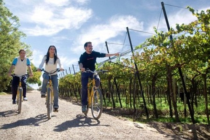Bike & Wine Tasting With Regional Food in Zuccardi Winery (From Mendoza)