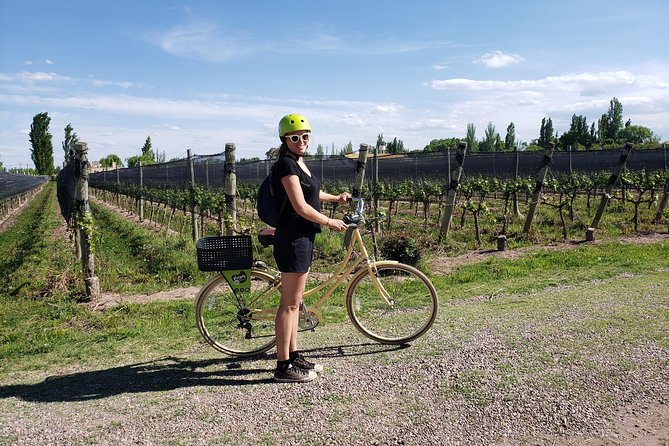 2 Best Bike Tours in Lujan De Cuyo