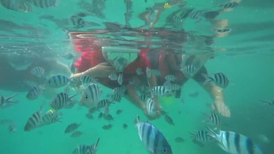 Bintan Snorkeling