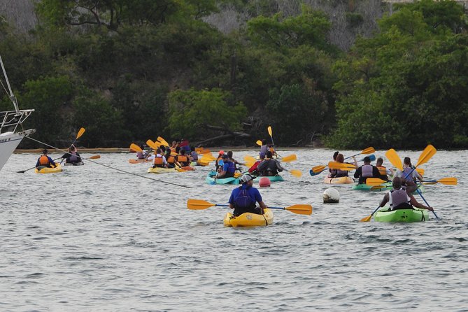 3 Best Canoe And Kayak Experiences In San Juan