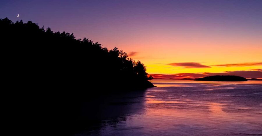 2 Best Canoe And Kayak Experiences In Friday Harbor Washington