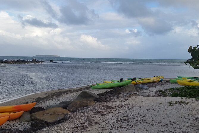 Bioluminescent Bay Night Kayak Experience