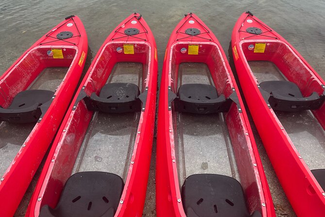 Bioluminescent Clear Bottom Kayak or Paddleboard Sit-On-Top Kayak Hybrid Tour!